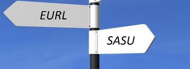 Choisir le statut Eurl pourquoi ?